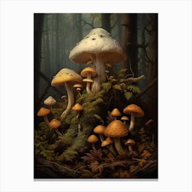 Forest Mushrooms 1 Canvas Print