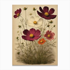 Cosmos Canvas Print