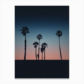 Landscapes Raw 21 Santa Monica (Usa) Canvas Print