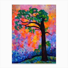 Chinkapin Oak Tree Cubist Canvas Print