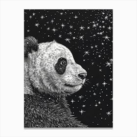 Giant Panda Looking At A Starry Sky Ink Illustration 2 Canvas Print