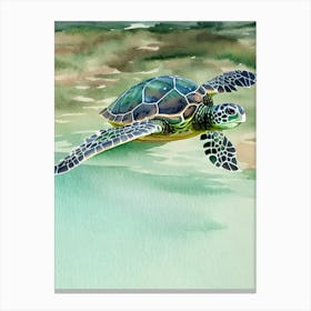 Green Sea Turtle Storybook Watercolour Canvas Print