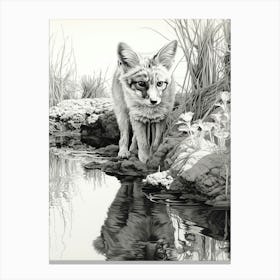 Bengal Fox Reflection Pencil Drawing 2 Canvas Print