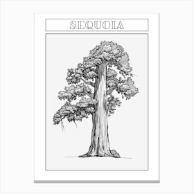 Sequoia Tree Minimalistic Drawing 2 Poster Canvas Print