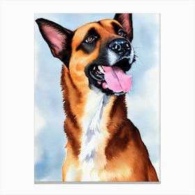 Belgian Malinois 2 Watercolour dog Canvas Print