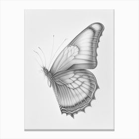 Butterfly Outline Greyscale Sketch 2 Canvas Print