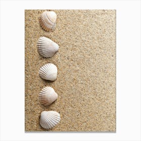 Colored seashells. Seashells. Summer. 20 Canvas Print