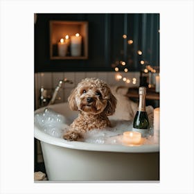 Cavapoo Taking A Bubble Bath 1 Canvas Print