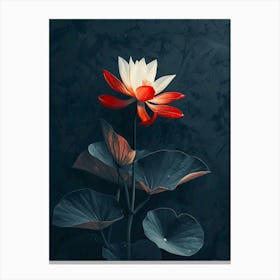 Lotus Flower 2 Canvas Print