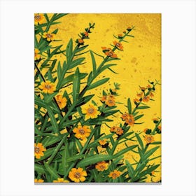 Yellow Flowers On A Yellow Background Canvas Print