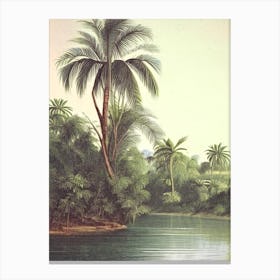 River Current Landscapes Waterscape Vintage Illustration 1 Canvas Print