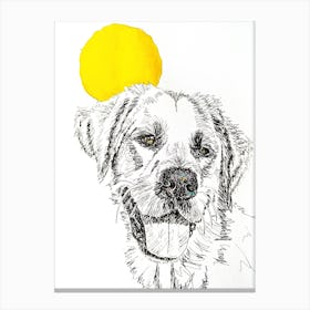 Sunny Dog Black Pen Drawing Canvas Print