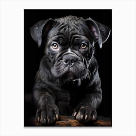 Modern Bulldog Painting in High-Quality Print Canvas Print