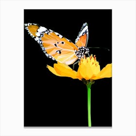 Butterfly On A Flower Canvas Print