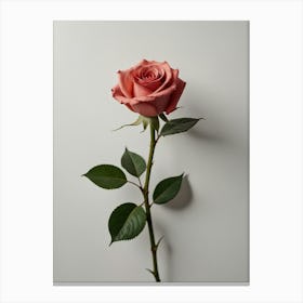 Valentines' Rose Canvas Print