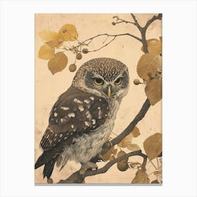 Northern Pygmy Owl Japanese Painting 2 Canvas Print