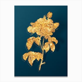 Vintage Vintage Duchess of Orleans Rose Botanical in Gold on Teal Blue Canvas Print