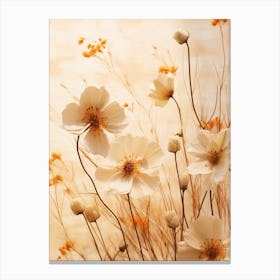 Boho Dried Flowers Cosmos 3 Canvas Print