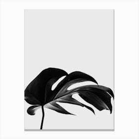 Black And White Monstera Leaf Canvas Print