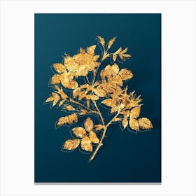 Vintage Malmedy Rose Botanical in Gold on Teal Blue n.0083 Canvas Print