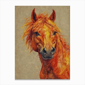 Horse'S Head Canvas Print