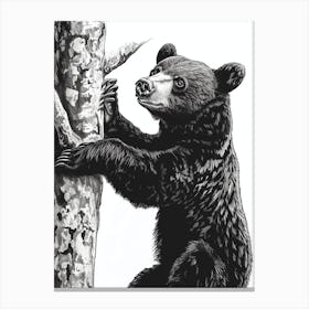 Malayan Sun Bear Cub Climbing A Tree Ink Illustration 2 Canvas Print