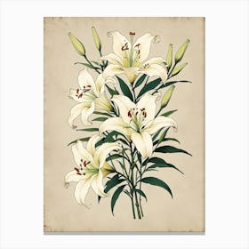 Lily Bouquet Canvas Print