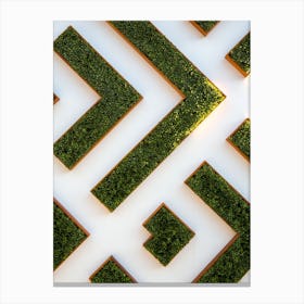 Moss Wall Canvas Print