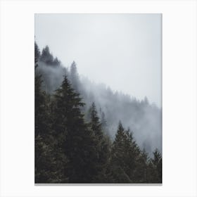 Cold Rainy Forest Canvas Print