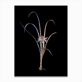 Stained Glass Grass Leaved Iris Mosaic Botanical Illustration on Black Canvas Print