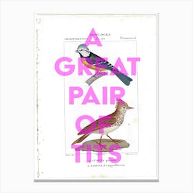 A Great Pair Of Tits Vintage Bird Canvas Print