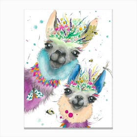 Llamas Canvas Print
