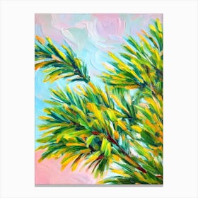 Norfolk Island Pine 2 Impressionist Painting Plant Canvas Print