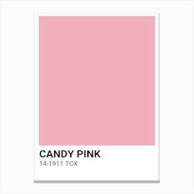 Candy Pink Canvas Print