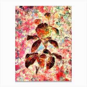 Impressionist Agatha Rose in Bloom Botanical Painting in Blush Pink and Gold n.0014 Canvas Print