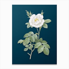 Vintage White Rose Botanical Art on Teal Blue n.0624 Canvas Print