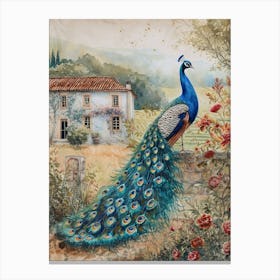 Peacock By The Castle Watercolour 1 Canvas Print