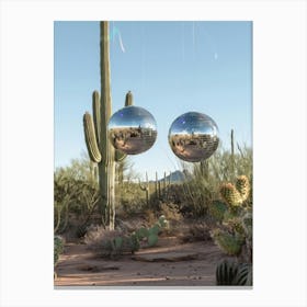 Mirrors In The Desert 2 Canvas Print