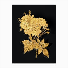 Vintage Noisette Roses Botanical in Gold on Black n.0551 Canvas Print