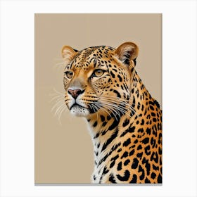 Leopard Gaze Canvas Print