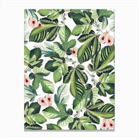 Fig Garden In Canvas Print