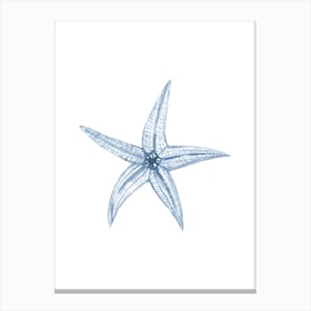 Starfish 4 Canvas Print