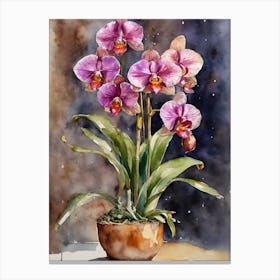 Paphiopedilum Orchids Water Colour Canvas Print
