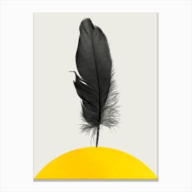 Dancing Feather Canvas Print