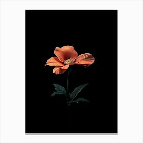 Pink Flower 6 Canvas Print