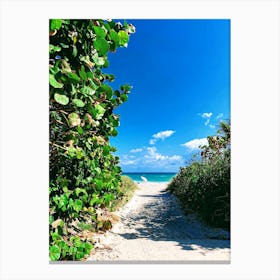 Miami 1 Canvas Print