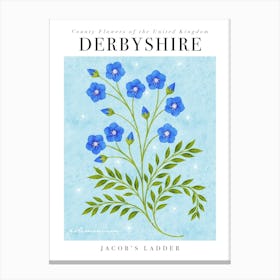 County Flower of Derbyshire Jacobs Ladder Canvas Print
