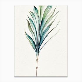 Yucca Leaf Minimalist Watercolour 6 Canvas Print