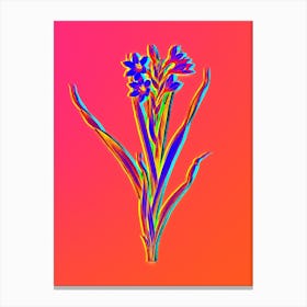 Neon Sword Lily Botanical in Hot Pink and Electric Blue n.0543 Canvas Print