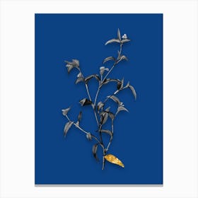 Vintage Commelina Africana Black and White Gold Leaf Floral Art on Midnight Blue n.0955 Canvas Print